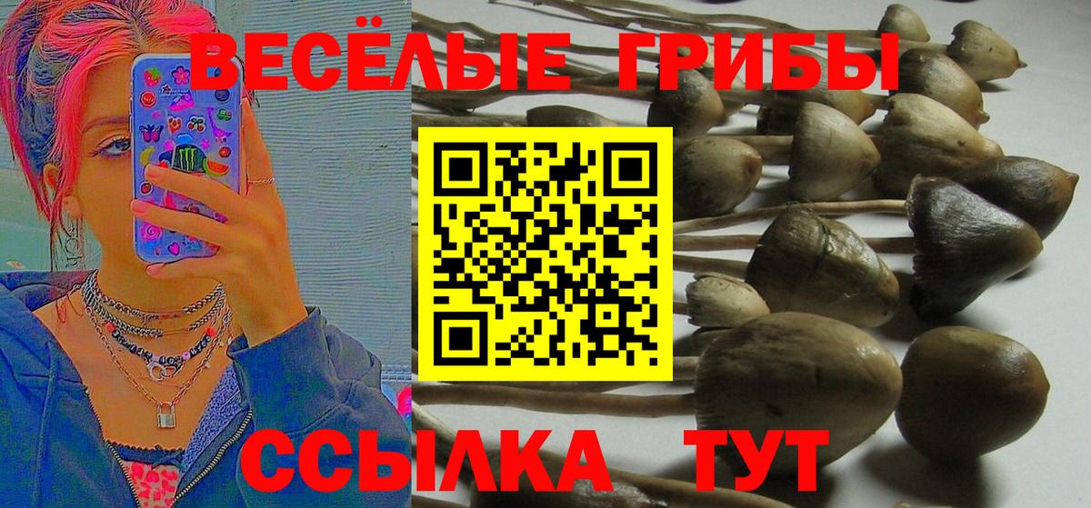 Галлюциногенные грибы прущие грибы Мурманск