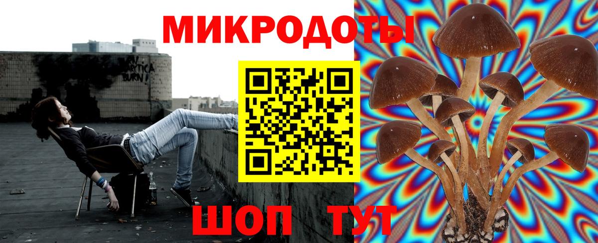 Мурманск  Псилоцибиновые грибы GOLDEN TEACHER  Вход с VPN 